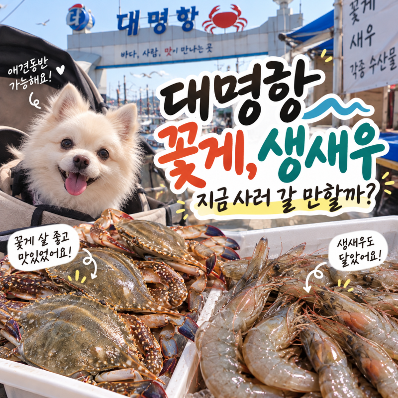 대명항 꽃게·생새우 지금 사러 갈 만할까? 4명이 8만원어치 먹어본 후기
