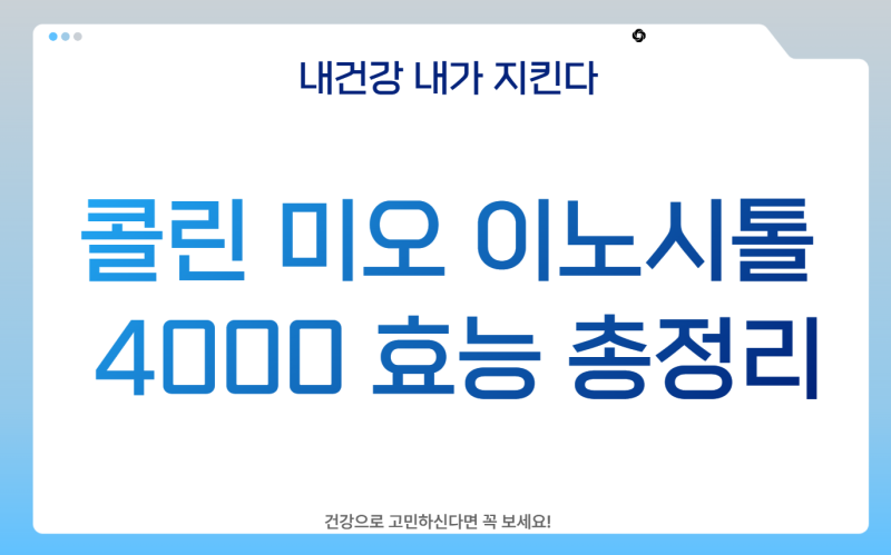 콜린 미오 이노시톨 4000 효능 총정리 (+ 다이소 엽산)