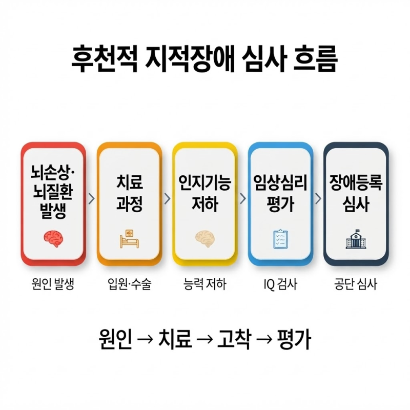 뇌손상·뇌질환 이후 지능이 저하됐다면? 후천적 지적장애 장애등록 심사 준비서류