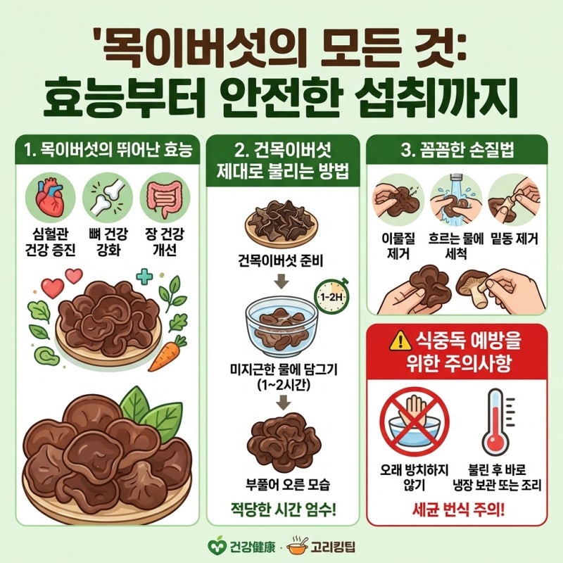 목이버섯 효능부터 건목이버섯 불리는 시간 손질법 및 주의사항 정리