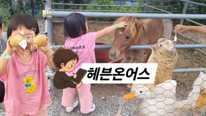 용인 체험농장 '헤븐온어스' : 감자체험, 에어바운스, 동물먹이주기 3시간 뚝딱(주차, 2호점 ....