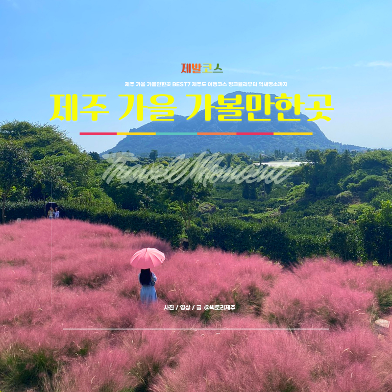 제주 가을 가볼만한곳 BEST7 제주도 여행코스 핑크뮬리부터 억새명소까지