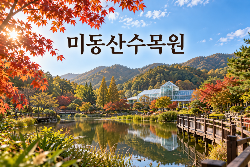 청주 가볼만한곳｜미원 미동산수목원 주차 입장료 가을 산책 총정리