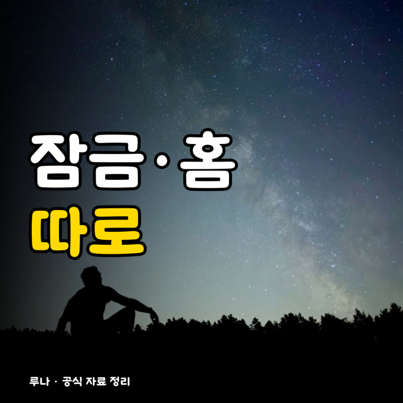 아이패드 배경화면 바꾸기, 잠금·홈 화면 따로 설정하는 법