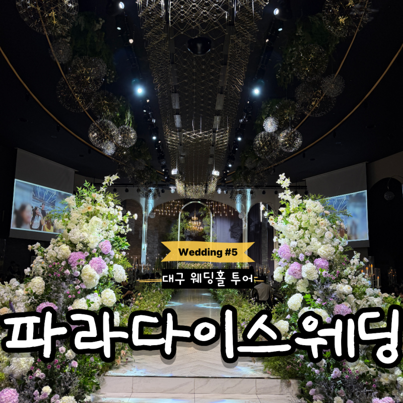 [Wedding #5] 대구 웨딩홀 투어 | 파라다이스웨딩 (그랜드볼룸·스텔라홀 27년 11-12월 견적/주차)