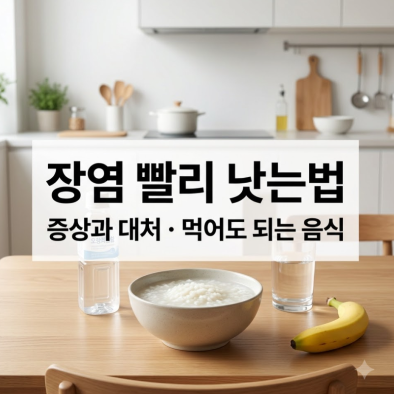 장염 빨리 낫는법, 증상부터 먹어도 되는 음식까지 알아보기