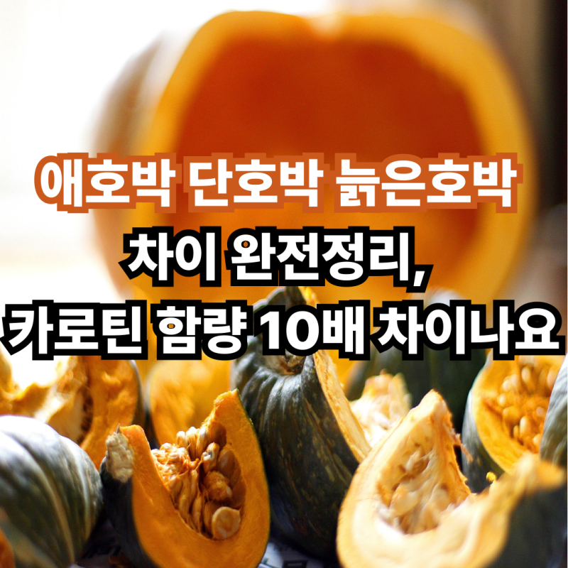 애호박 단호박 늙은호박 차이 완전정리, 카로틴 함량 10배 차이나요