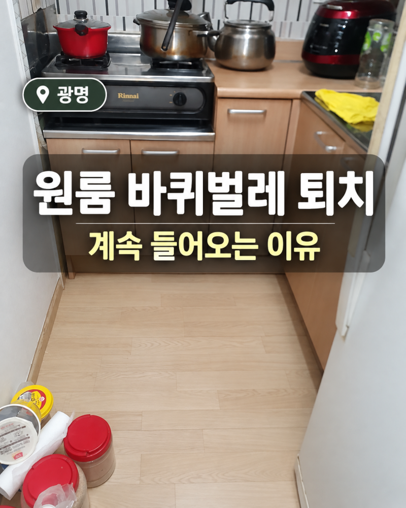 광명 구축 아파트 원룸 바퀴벌레 퇴치, 정말 방역하면 없어질까요?