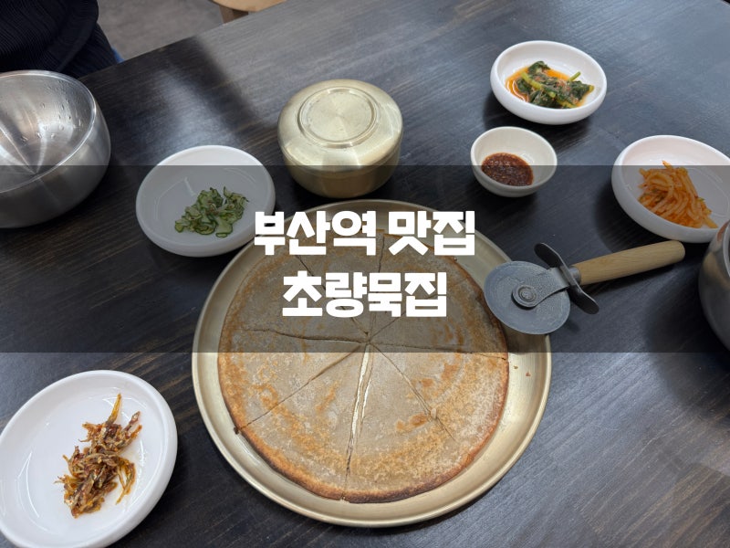 부산역 한식맛집 1972년 초량묵집