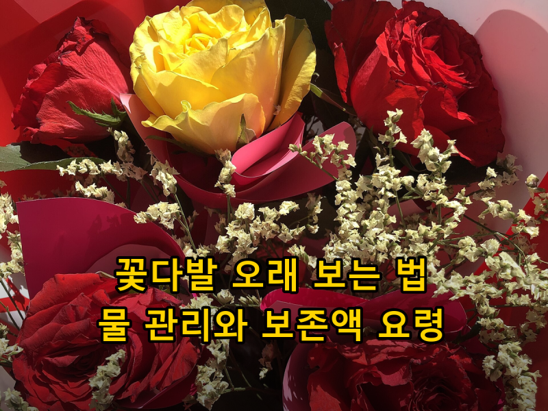 선물 받은 꽃다발·꽃바구니 오래 보는 법, 물 갈기부터 설탕물 보존액까지