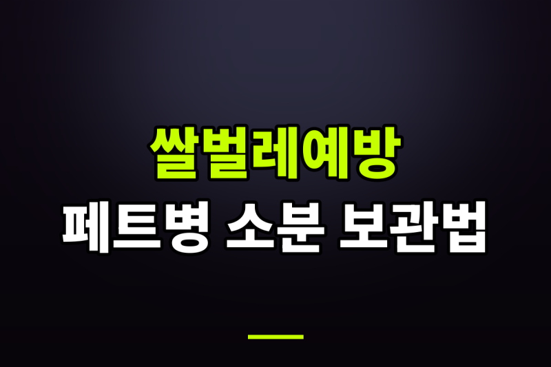 쌀벌레 예방을 위한 통풍과 페트병 소분 보관 실천법