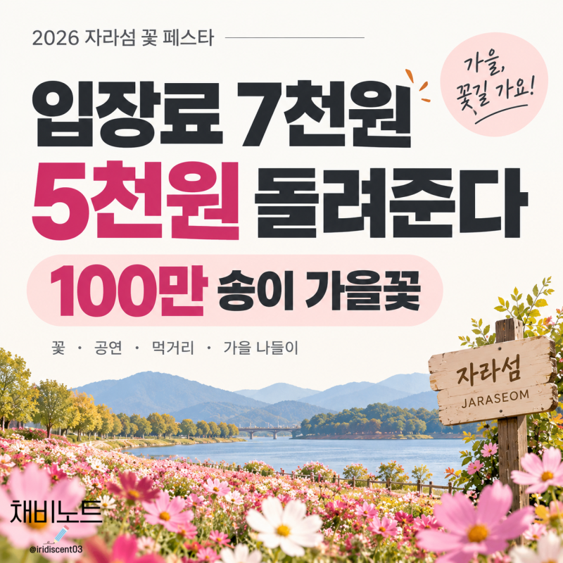 2026 자라섬 꽃 페스타 시작 입장료 7천원인데 5천원 돌려준다 주차 가을꽃 총정리
