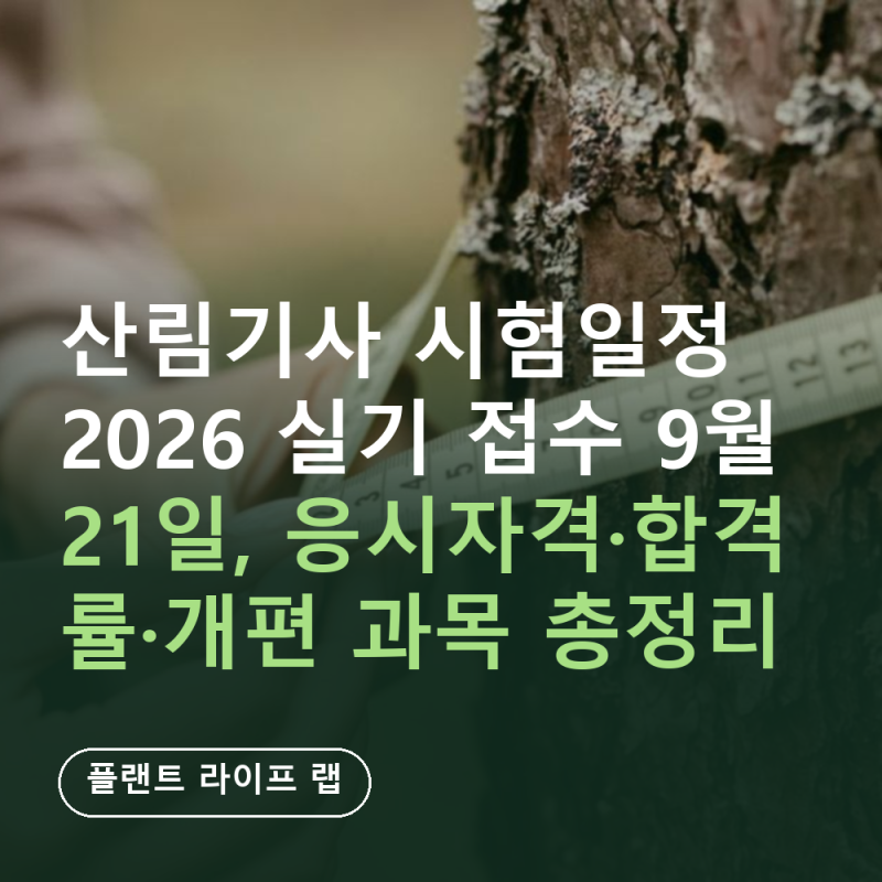 산림기사 시험일정 2026 실기 접수 9월 21일, 응시자격·합격률·개편 과목 총정리
