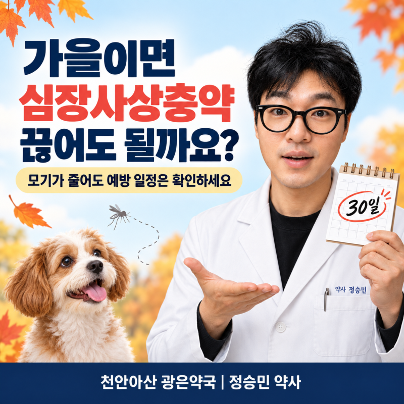 가을에 모기가 줄면 강아지 심장사상충약을 끊어도 될까요? 하트세이버 플러스 복용과 놓친 ....