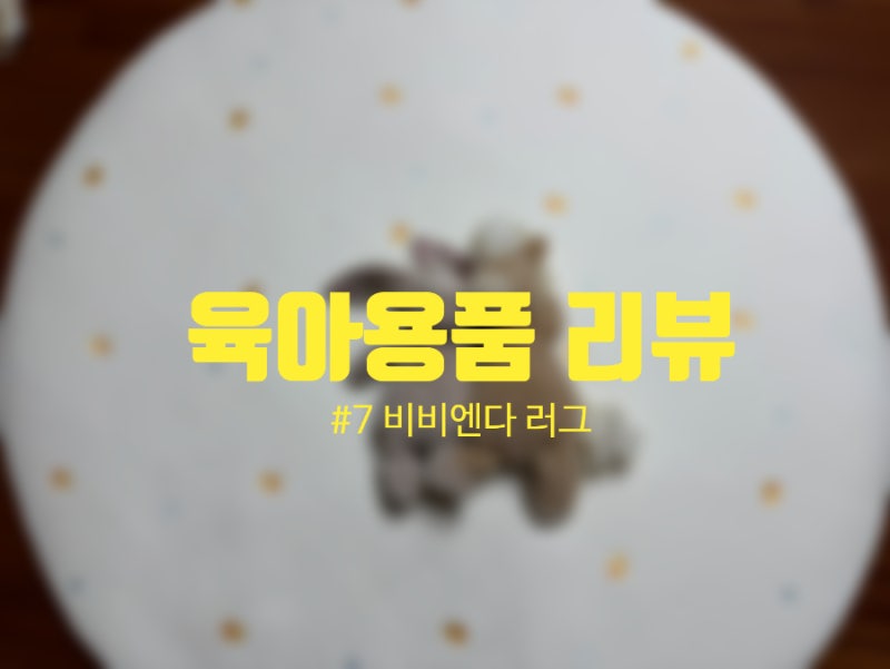 육아 용품 리뷰 #7 - 비비엔다 원형러그 130cm