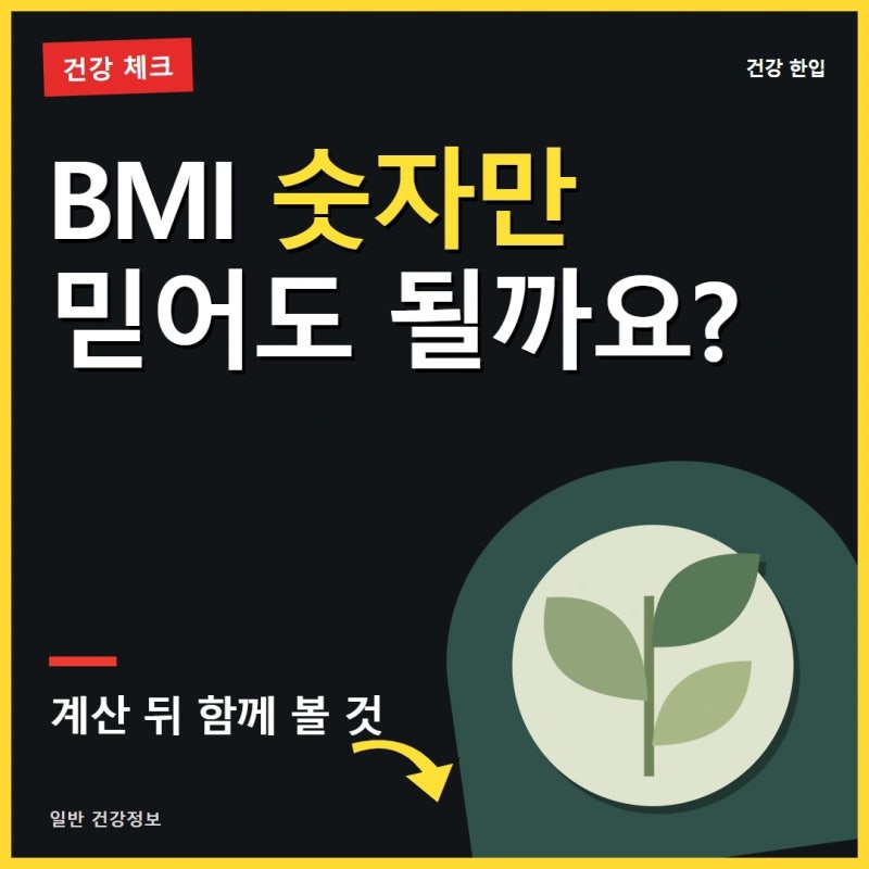 BMI 계산하기, 한국 기준으로 내 몸 상태를 제대로 확인하세요