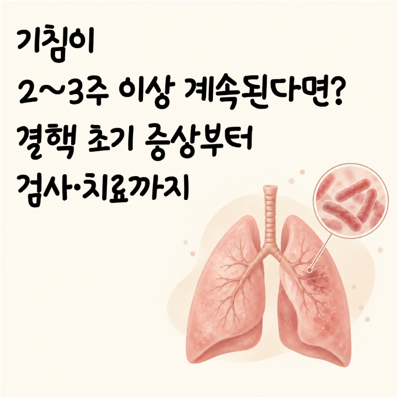 기침이 2~3주 이상 계속된다면? 결핵 초기 증상부터 검사·치료까지