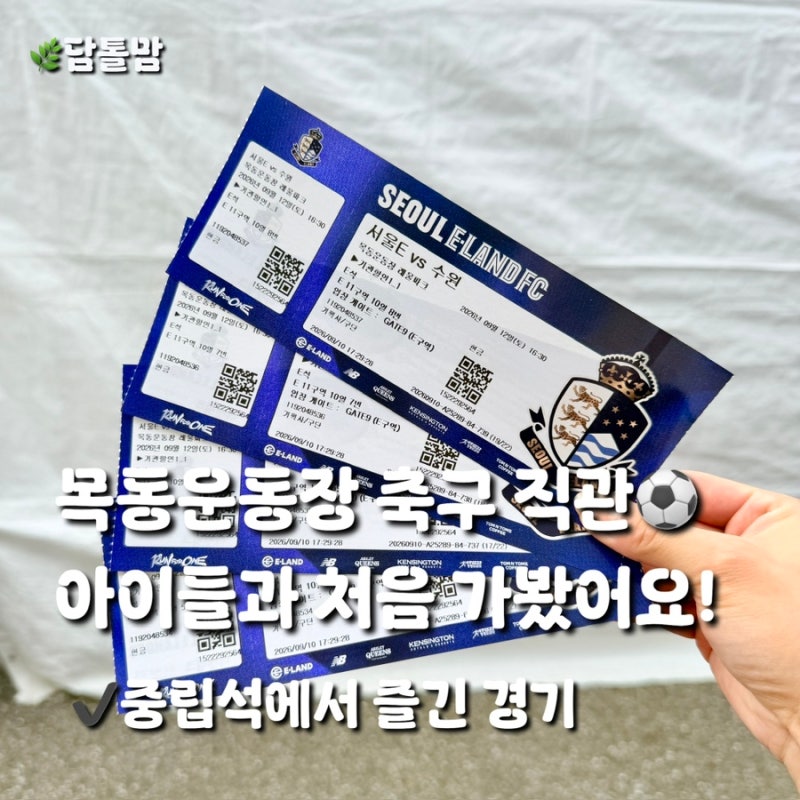 목동종합운동장 축구 직관⚽️ 토리와 함께한 첫 수원삼성 vs 서울 이랜드 경기