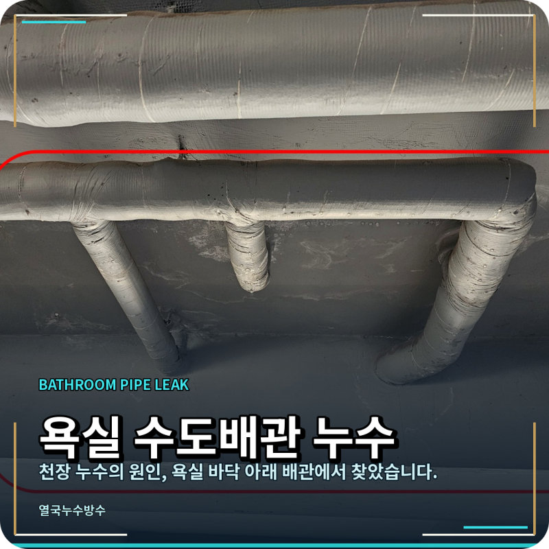 동탄 욕실 누수탐지 전문업체, 일상생활배상책임보험 처리까지 한번에!
