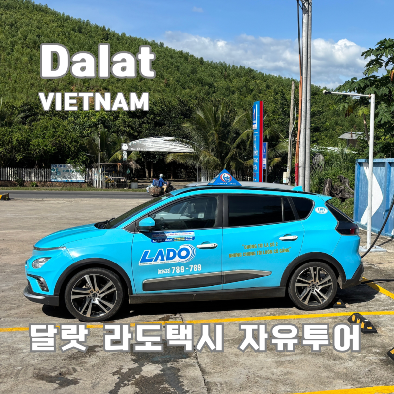 나트랑 달랏 자유여행, 라도택시 예약부터 당일투어 후기