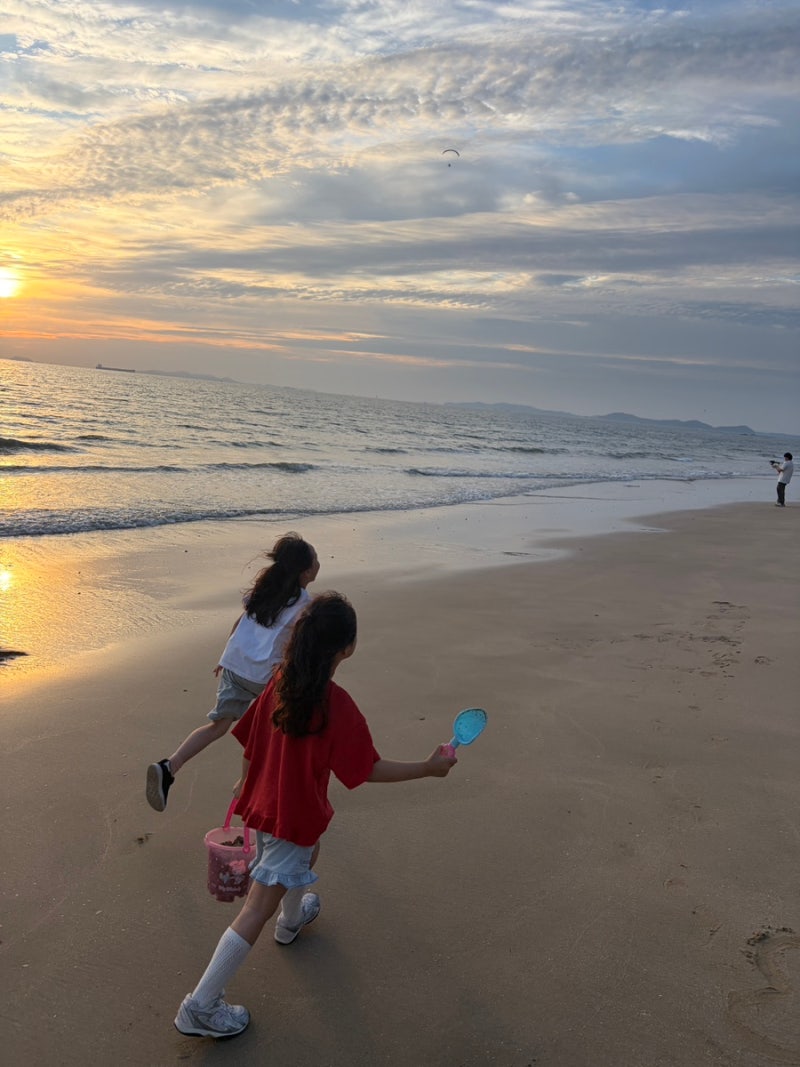 아이랑 보령 당일치기 가볼만한 곳 (대천해수욕장, 보령석탄박물관 놀이터, 고기맛집 )