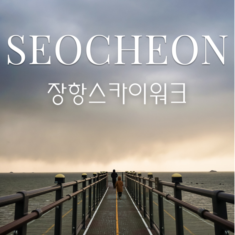 계단 오르기 귀찮다면? 엘리베이터 타고 서천 장항 스카이워크