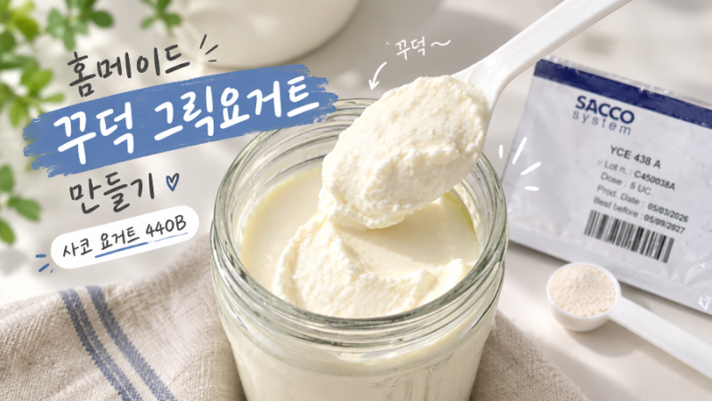 집에서 그릭요거트 만들어 먹으려고 산 SACCO 요거트 스타터 후기 I 홈메이드 꾸덕 그릭요거트....
