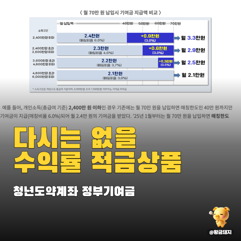 청년도약계좌 정부기여금 만기수령액, 두번 다시는 없을 수익률이다