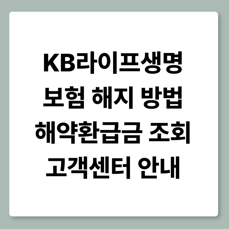 KB라이프생명 보험 해지 방법·해약환급금 조회·고객센터 안내