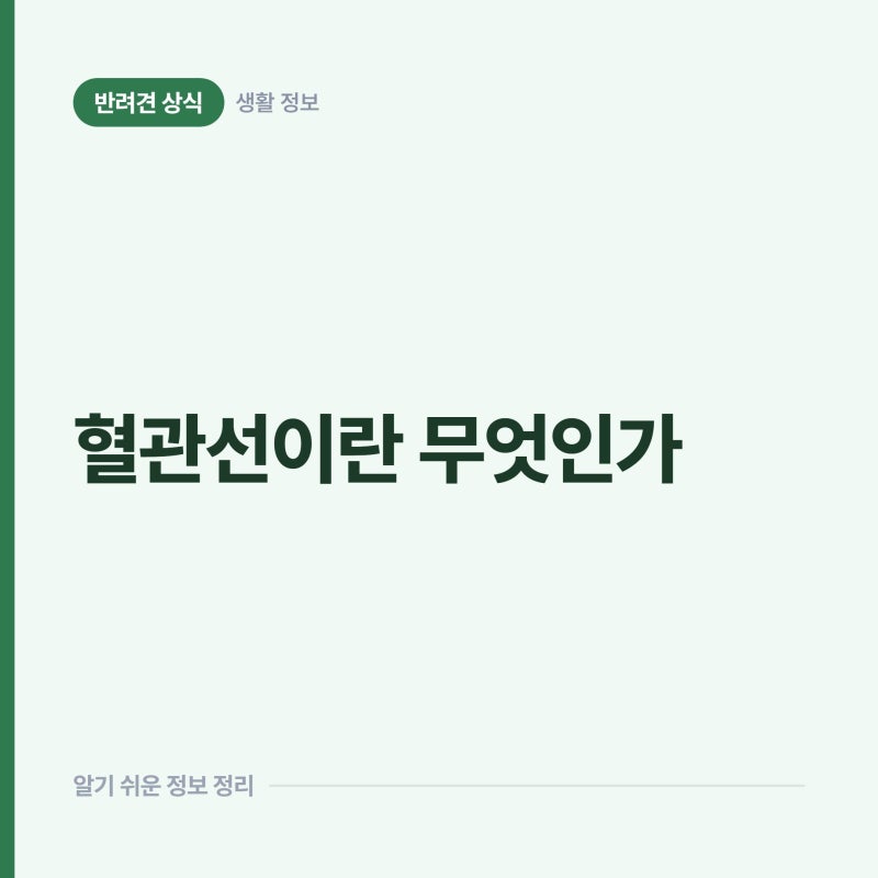 강아지 발톱 관리에 나오는 '혈관선', 어디까지 깎아도 되는지의 기준