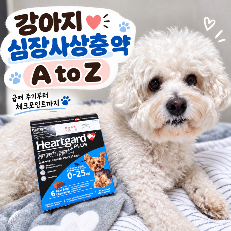강아지 심장사상충약 하트가드 약국 구매 가격 먹이는법 주기