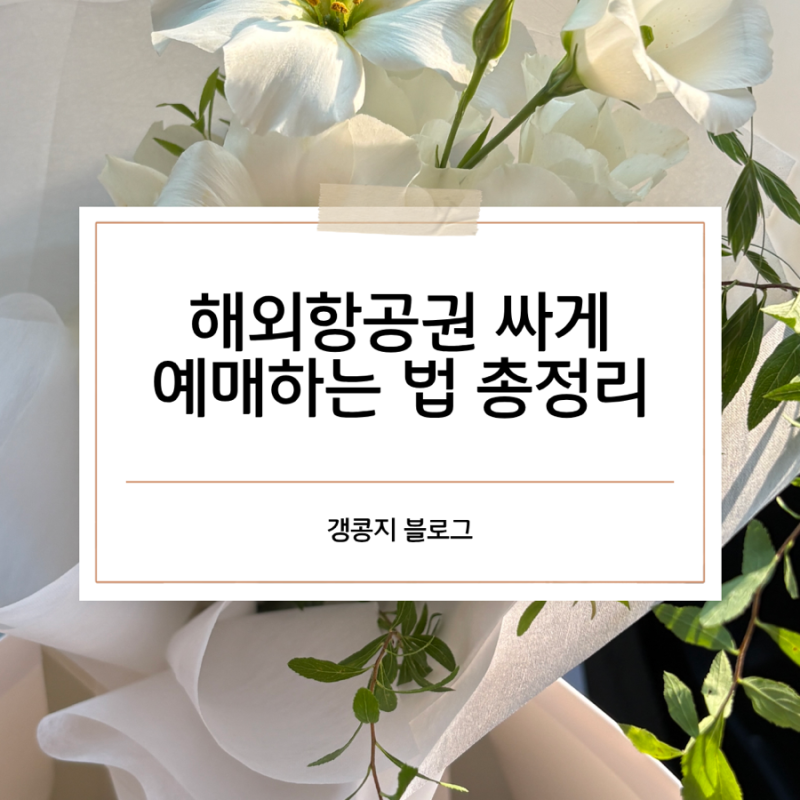해외항공권 싸게 예매하는 법 총정리