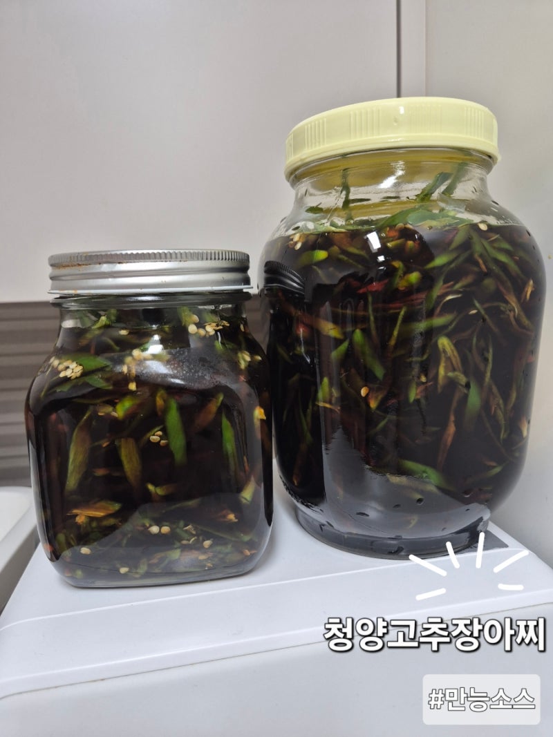 ️ [집밥 레시피] 매콤새콤 중독성 갑! 채 썬 청양고추장아찌 황금레시피 (밥도둑 간장고추장....