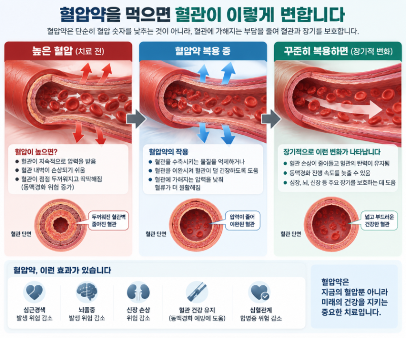 혈압약 + 고지혈증약, 왜 같이 먹을까? 고고당 바로알기 !!