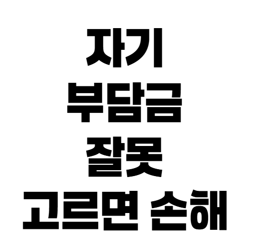 자동차보험 자기부담금 20% vs 30% 보험료와 사고 부담 비교