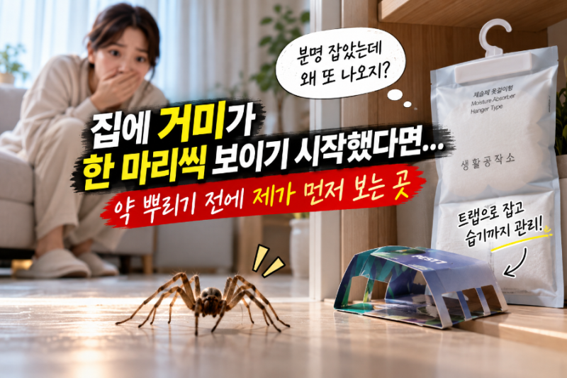 “집에 거미가 한 마리씩 보이기 시작했다면…” 약 뿌리기 전에 제가 먼저 보는 곳
