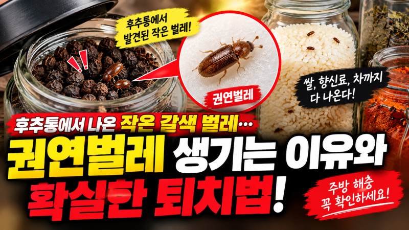 후추통에서 작은 갈색 벌레가 나왔다면? 권연벌레 확인법과 주방 해충 없애는 방법