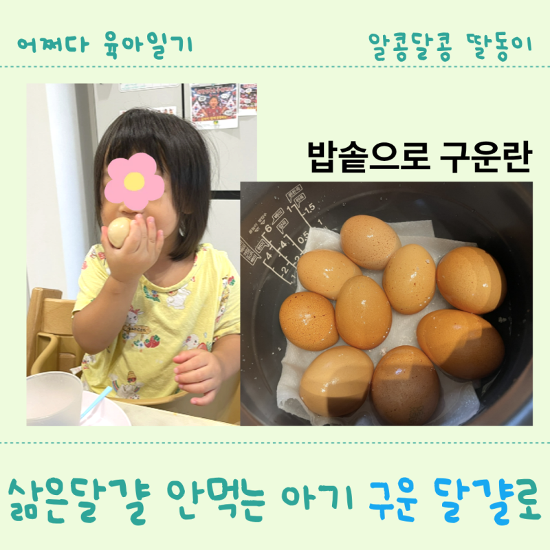 쿠쿠 전기밥솥 구운 달걀 만들기 아이가 삶은 달걀을 안 먹는다면 구운 달걀로
