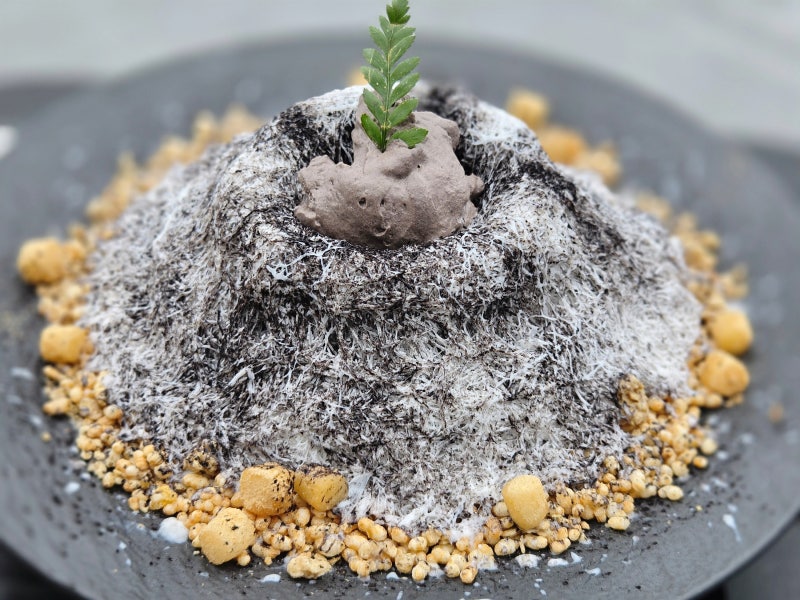 [속초 카페] 파도 소리와 함께 즐기는 얼그레이 빙수 맛집, 오션뷰 카페 셜터(SHLTR) 솔직 후기