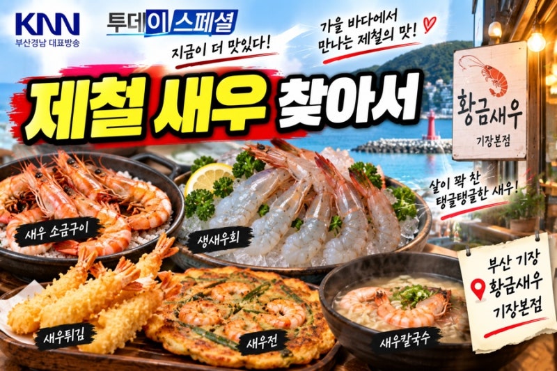 KNN 투데이스페셜 제철 새우 어디?｜부산 기장 황금새우, 생새우·소금구이 한 상