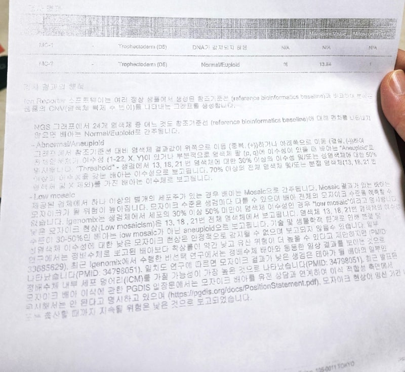 송파마리아 시험관 1차 PGT 검사 결과｜No DNA detected 의미와 배아 이식 결정