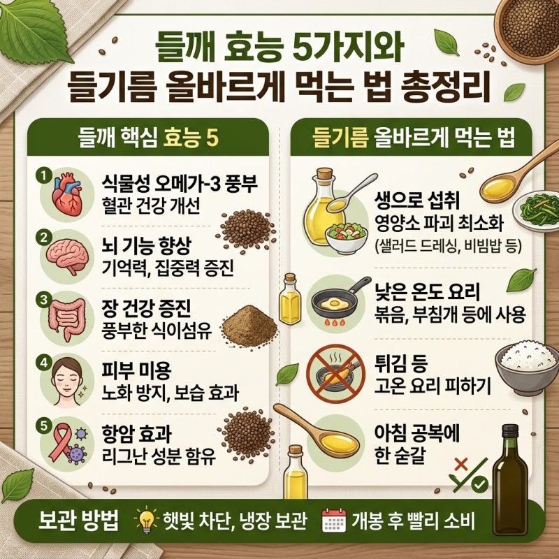 들깨 효능 5가지와 들기름 올바르게 먹는 법 총정리