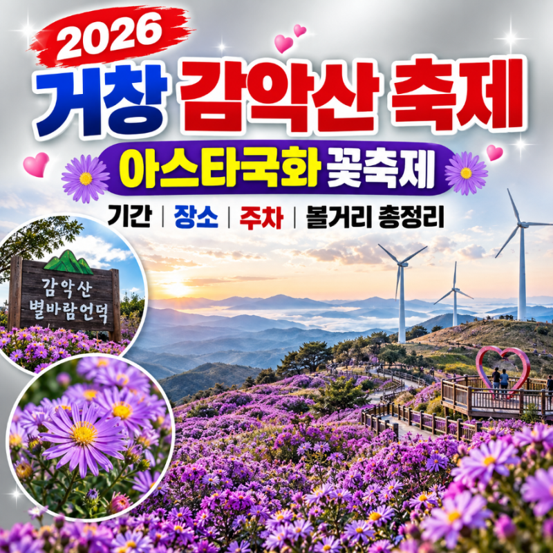2026 거창 감악산 축제 일정｜아스타국화 꽃축제 기간·장소·주차·볼거리 총정리