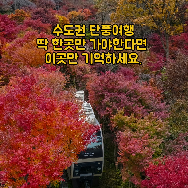 서울 근교 단풍명소 화담숲 2026 가을 성수기 예약일정 예약팁 절정시기 예측