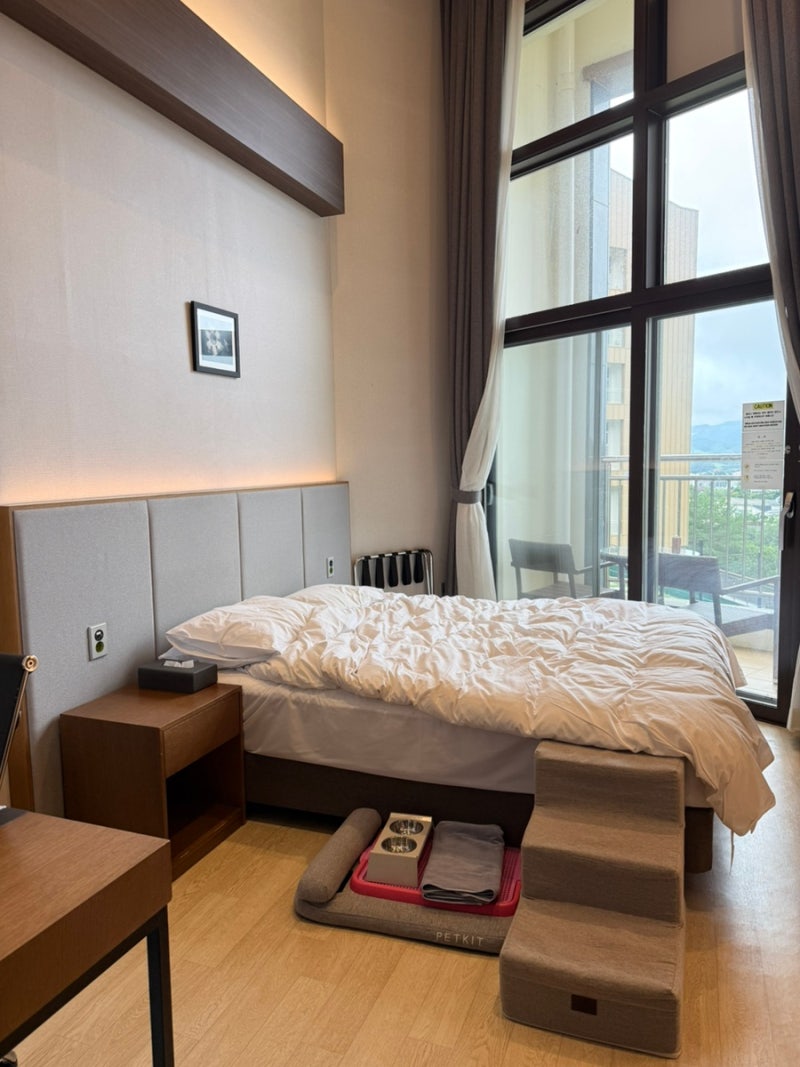 라마다 호텔 평창 펫룸 스탠다드 더블룸 강원도 애견동반 숙소