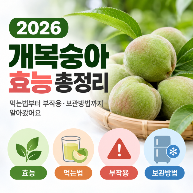 2026 개복숭아효능 총정리 먹는법부터 부작용·보관방법까지 알아봤어요