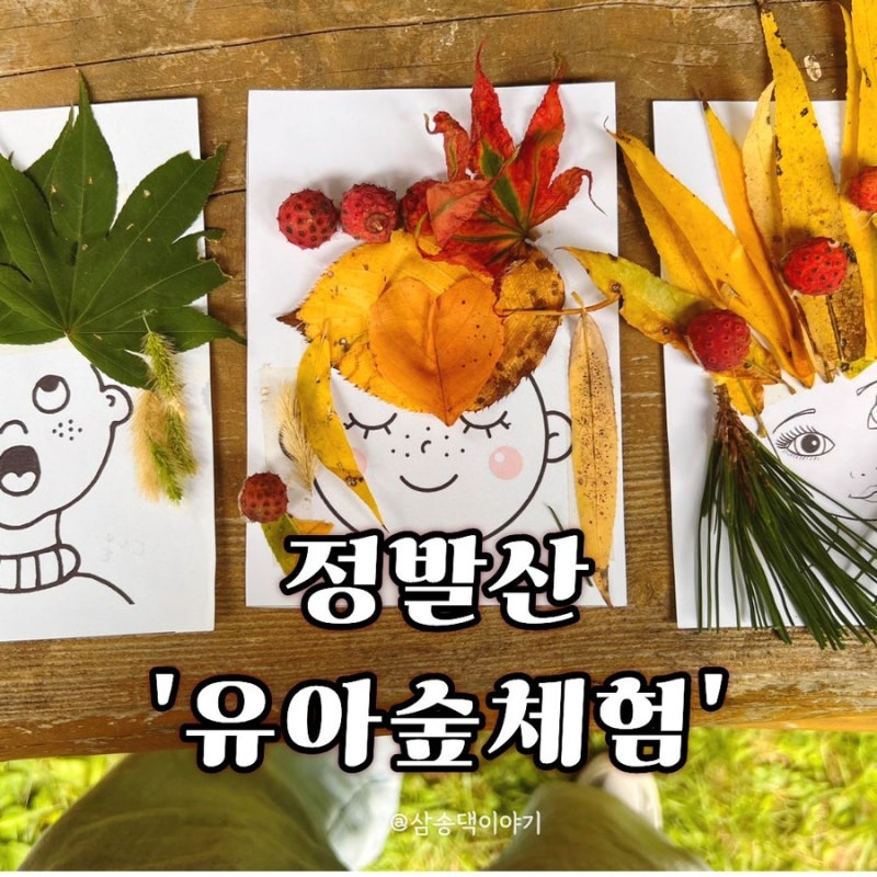 고양 아이와 가볼만한곳｜정발산 유아숲체험원 가족숲체험, 숲에서 놀자