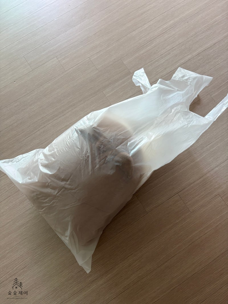 큰 인형 버리는 법, 바디필로우 배출 방법 (대형폐기물 신고, 종량제 봉투)