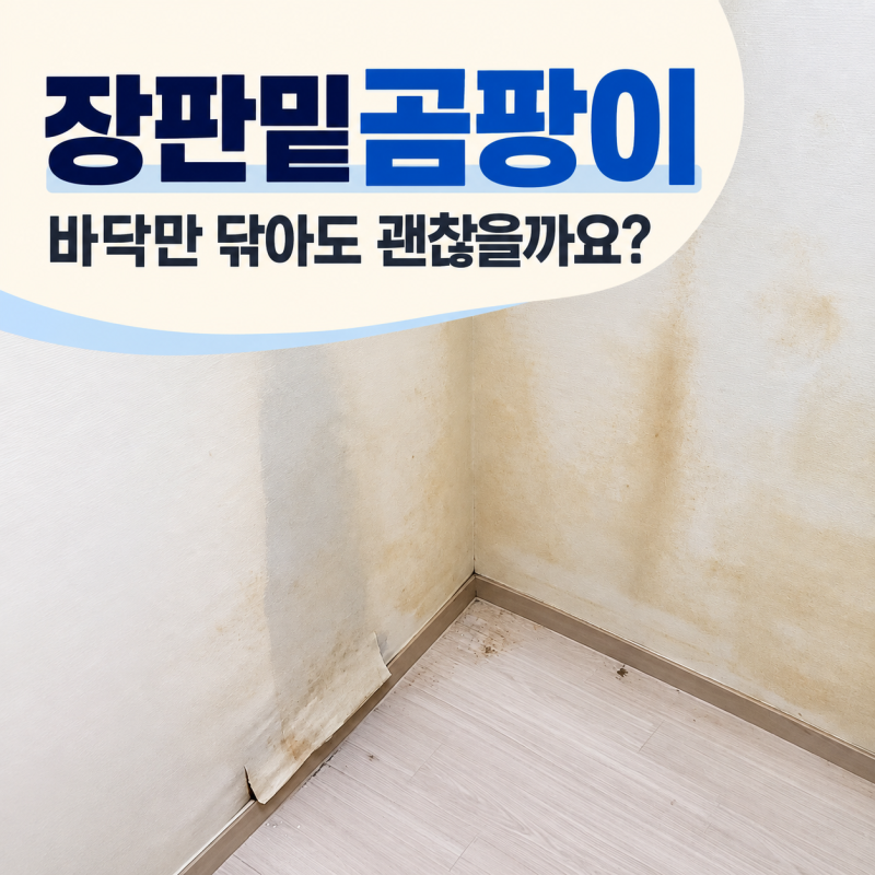 장판밑곰팡이 제거부터 드레스룸 이보드 단열시공까지 진행한 이유