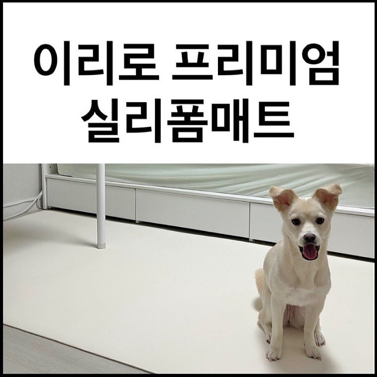 이리로 프리미엄 실리폼매트 강아지 슬개골탈구 방지매트 | 논슬립 방수 강아지미끄럼방지....